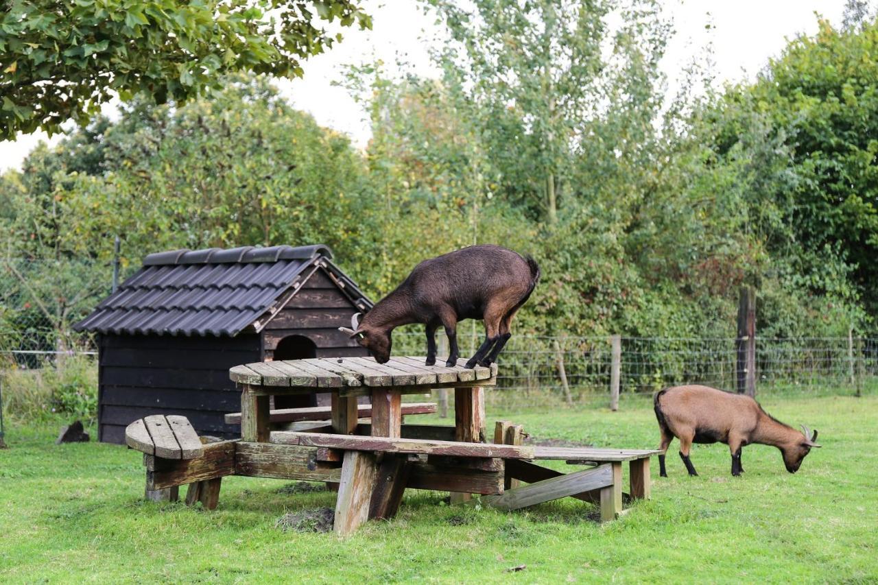 De Rolders Bed & Breakfast Wapenveld Eksteriør bilde